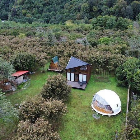 Dumbo Eco Camp Hotel Ozurget'i Exterior photo